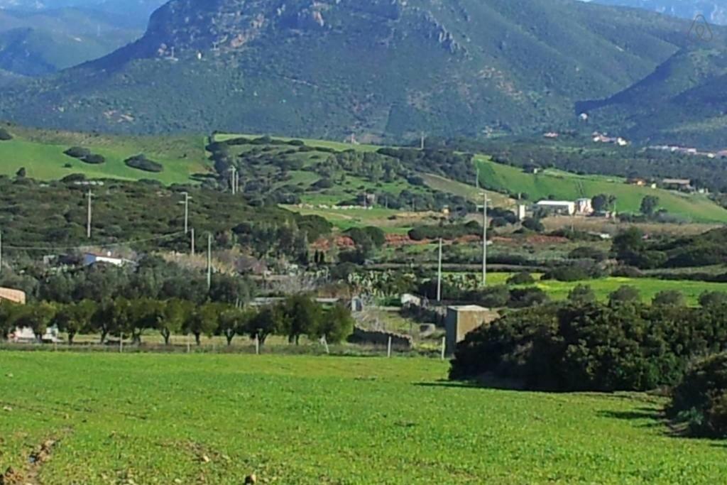 Apartment Nuraghe, Barrierefrei, Auf Olivenhain Gonnesa Buitenkant foto